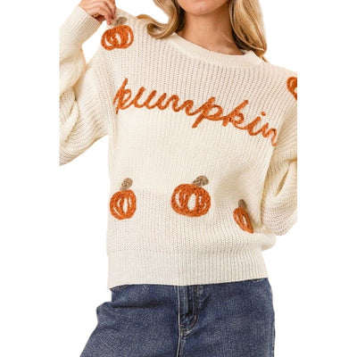 BIBI TAUPE DARK BEIGE PUMPKIN SWEATER IP8254J