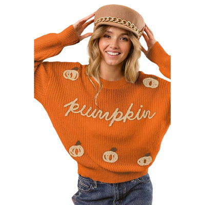 BIBI TAUPE DARK BEIGE PUMPKIN SWEATER IP8254J