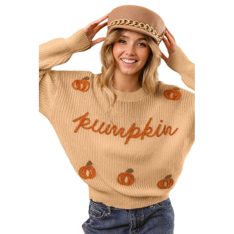 BIBI TAUPE DARK BEIGE PUMPKIN SWEATER IP8254J